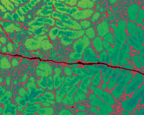 Crack in metal casting Metallographic cross section