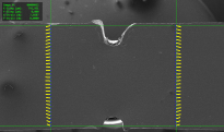 Classic tensile test with VEDDAC strain